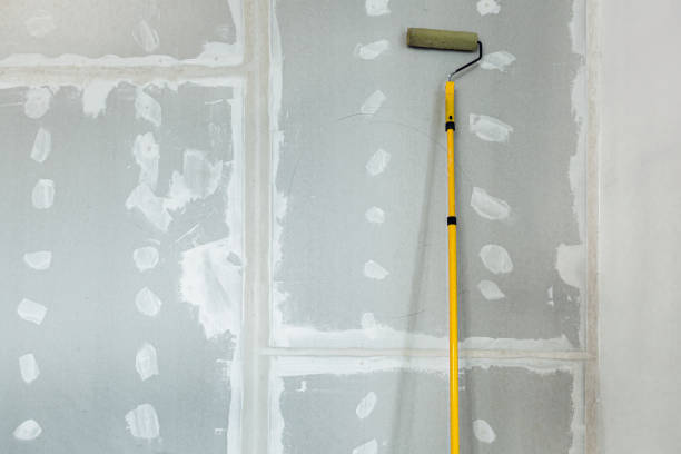 Professional Drywall & Painting Services in Sherrelwood, CO